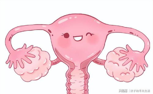 妈妈没有痛经女儿会痛经