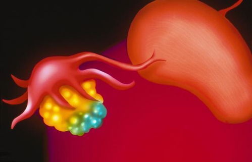 怀孕常规检查会不会痛经