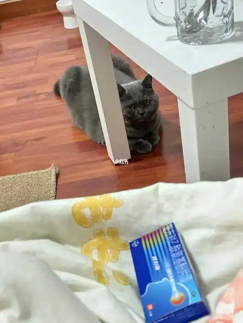 月经痛经颜色浅_月经痛经颜色浅什么原因